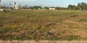 Bán gâp nền 80m2 thổ cư đặc dự án Vạn Phát Sông Hậu