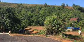 Bán đất nghĩ dưỡng kdl Bảo Lộc,12*17; có 100m2 thổ cư shr, giá 700 tr