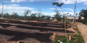 ĐẤT THỎ CƯ GIÁ RẺ TẠI BẢO LỘC CẦN BÁN GẤP GẤP