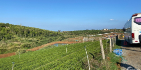 Mua đất Bảo Lộc vị trí đẹp kế bên đồi chè Tâm Châu