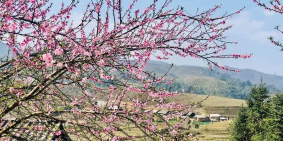 Bán đất nền y tý view vô cùng xuất sắc