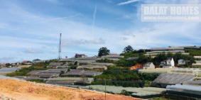 Cần bán GẤP lô đất biệt thự 205m2 đường xe hơi, Nam Hồ, P11, Đà Lạt