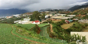 Bán lô đất liên kế đường nhựa KQH Nguyễn Hoàng, P7, Đà Lạt giá cực kì rẻ