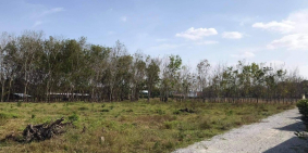 Cần bán gấp lô đất gần cụm công nghiệp An Lập sát ĐT748 tại Dầu Tiến