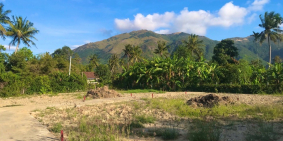 CẦN BÁN LÔ THỔ CƯ DIÊN AN 100M2 !