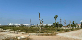 Mở bán đợt 1 đất nền Hoa Phượng Residence Đối diện Sân Golf BRG Ruby, SĐCC