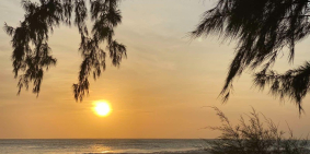 Làm ăn khó khăn do ảnh hưởng Covid cần bán nhanh lô đất đã có sổ tại Mũi Kê Gà