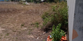 lô đất tại xã phú thạnh , huyện nhơn trạch , tỉnh đồng nai . Nơi tiếp giáp với đ