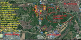 Cần cho mấy Em Hoa Hậu đi khách