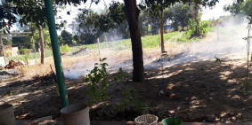 Bán lô đất vườn 5038m2 ngay Trung Tâm Thị Trấn Tân Châu, Ra Lê Duẩn hơn 100m.