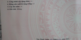 Bán đất mặt tiền đường rộng 5038m2 ở Thị Trấn Tân Châu - đối diện Trung Tâm Y Tế