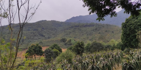 BÁN 3.5HA ĐẤT YÊN BÌNH THẠCH THẤT GIÁ 78 TỶ