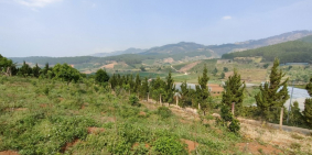 Đất view tuyệt đẹp để nghỉ dưỡng tại Đà Lạt, Giá F0 đầu tư