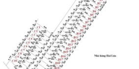 Thật dễ dàng để sở hữu 159.5m² đất Phú Quốc giá chỉ 4 tỷ