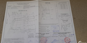 Tin được không! 147m² đất cực đẹp Q.12 giá 3.2 tỷ