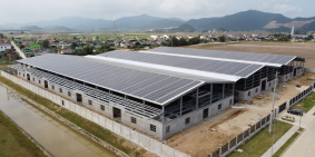 CHO THUÊ KHO XƯỞNG KCN WHA (Thailand) - NGHỆ AN