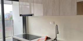 TÂY HỒ, PHỐ VÕNG THỊ, KINH DOANH ĐỈNH, 155M, MT 10M, CHỈ 33 TỶ