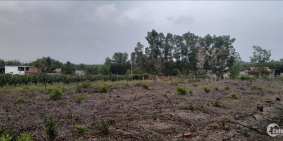 Đất lô góc ngay UBND xã Bưng Riềng Xuyên Mộc Vũng Tàu 13000m2 giá chỉ 450k/1m2.