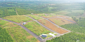 Đầu tư sinh lời đất nền nghỉ dưỡng Thành phố Bảo Lộc, Lâm Đồng