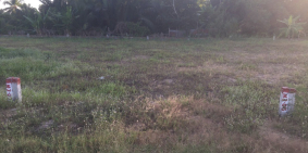 Bán nhanh 80m2 thổ cư đặc, dự án Vạn Phát Sông Hậu