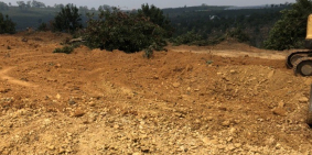 BÁN GẤP ĐẤT THỔ VƯỜN VEN ĐÀ LẠT