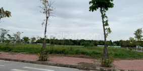 Bán đất tại TNR Star Tân Trường, Cẩm Giàng, Hải Dương, giá 1.3 tỷ