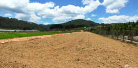 Nền đất 500m2 View suối tại Phường 10. TP. Đà Lạt, Lâm Đồng 5tr5/m2