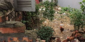 Bán đất Trâu Quỳ -Cửu Việt 2 -47m2 MTien rộng –Vuông vắn. 0982852808