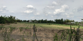 Đất Nền Củ Chi - Thổ Cư 100% - Sổ Hồng Riêng - Công Chứng Trong Ngày