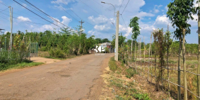 Đất 868m² Full thổ cư đường nhựa số 5 Bảo Vinh - Long Khánh