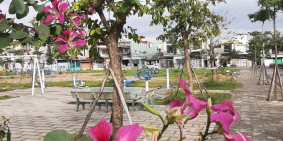 Bán đất  223 TRƯỜNG CHINH, Thanh Khê dt 90m2 giá 3.699 tỷ