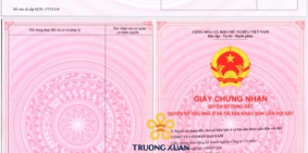 Còn 3 nền cuối cùng mặt tiền kinh doanh ngay con đường Dịch Vụ của Dư Án