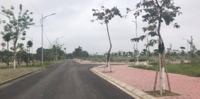 Bán biệt thự Tân Phú Hưng, TP Hải Dương, 250m2, mt 10m, đường 31m, giá cực tốt