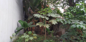 Bán đất Đức Thắng, Bắc Từ Liêm Oto đỗ gần đất vượng khí, 34m2 giá 1.95 tỷ.