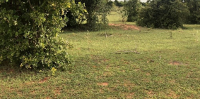 10,384M2 GIÁ 690TR ĐẦU TƯ ĐẤT VƯỜN BÌNH THUẬN LÀM BIỆT THỰ HƯỚNG BIỂN