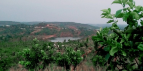 Đất nông nghiệp view farm nghỉ dưỡng tại Đắk Song