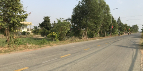 Đất lúa mặt tiền Tỉnh Lộ 832 cách ngã 4 tân Phước Tây, Tân Trụ chỉ 400m.