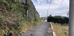 Bán đất view rừng thông Đà Lạt 200m2 - 6 tỷ