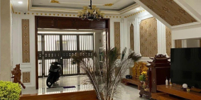 Siêu Phẩm Biệt Thự, Phường 6 Gò Vấp Lê Đức Thọ, 100 M2, Giá Chỉ Nhỉnh 10 Tỷ