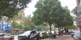 Bán nhà mặt phố Nguyễn Văn Huyên. Vỉa hè 8m, 8 làn ô tô. 124m2 MT8m 5T, 35tỷ