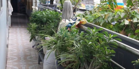 Bán nhà mặt tiền kinh doanh Thống Nhất, Tân Thành, Tân Phú Giá Rẻ