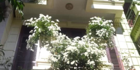 HIẾM! MẶT PHỐ TT BA ĐÌNH, CÁCH LĂNG BÁC 500M - KD, Ô TÔ - 7.x TỶ