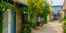 Cần tiền bán gấp căn nhà cấp 4, 75m2, đường Nguyễn Thị Búp, quận 12, SHR, giá 96