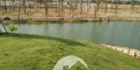 Đất nền Sân Bay dự án DB Complex . giá chỉ 300tr . chiết khấu 10%