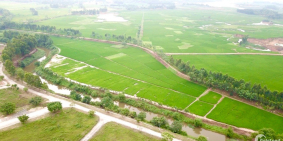 Chính chủ cần bán 295m đất biệt thự view sông có sổ đỏ