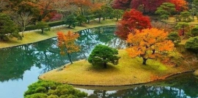 Bán đất thổ cư 250m2 giá rẻ tại TP Bảo Lộc