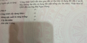 Gần 2 sào đất tại trung tâm thị trấn đất đỏ, huyện đất đỏ cần bán.