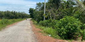 lô đất vườn cực đẹp hơn 1125m2 sát đường DT749B thuộc xã Minh Hòa, Dầu Tiếng,BD