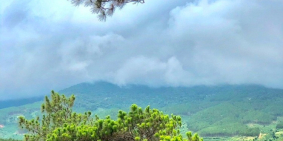 Bán đất view suối tại Gia Hiệp, Di Linh (cách QL 20 chỉ 2km),300tr/sào