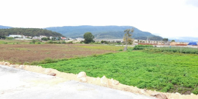 Dự án lớn cần người đầu tư nhanh